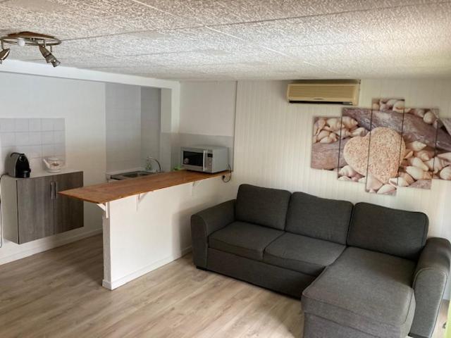 סלון-דה-פרובנס L'Appartement Du Micocoulier מראה חיצוני תמונה