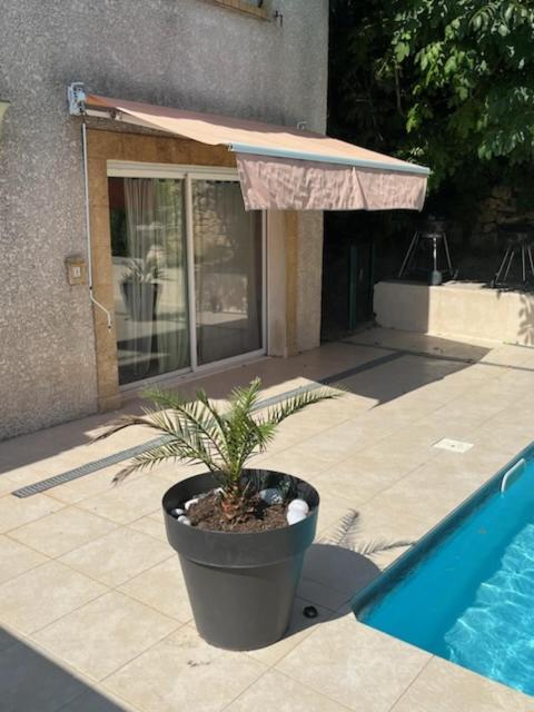 סלון-דה-פרובנס L'Appartement Du Micocoulier מראה חיצוני תמונה